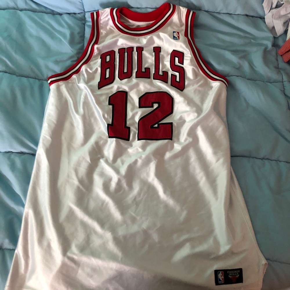 Bulls Kirk Hinrich Jersey